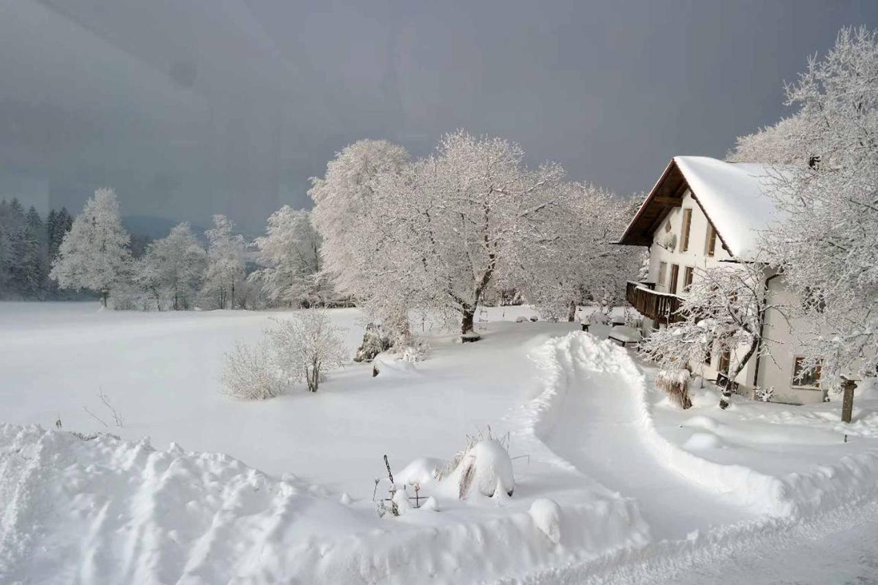 Ferienwohnung Miedl เฮาเซนแบร์ก ภายนอก รูปภาพ
